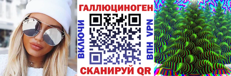 мориарти клад  KRAKEN   Нолинск  Галлюциногенные грибы Psilocybine cubensis 